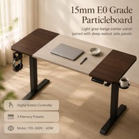 Table électrique silencieuse extensible AOR Home, plateau en bois, structure métallique, pour bureau, ordinateur, apprentissage, couleur personnalisable