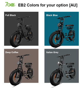 จักรยานไฟฟ้า EB4 EB2 ยางอ้วน รุ่น Fat Tire Bike จากคลังสินค้าออสเตรเลีย กำลังไฟ 750W 1000W จักรยานไฟฟ้าในเมืองแบบ Step Over รุ่น EB2 EB2 - Product Image 4