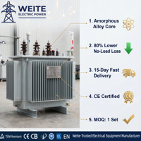 Transformador de Distribución Trifásico de 20kV/24kV y 800kVA, Sumergido en Aceite, Totalmente Sellado, Bobinado de Cobre, Certificado CE, para Energía Solar