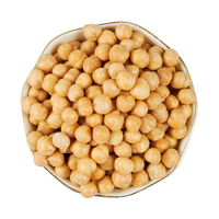 Pemasok Camilan Kacang Arab Panggang Pedas dalam Jumlah Besar, Kacang Arab Renyah