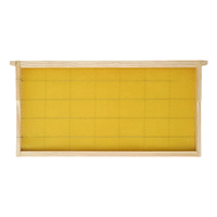 Hot Sale Best Quality Holz Bienenstock Rahmen mit Bienenwachs Foundation Sheet Neuer Zustand für Bienen farmen