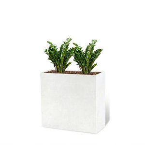 Jardinière carrée en acier de style américain Gnee pour l'intérieur et l'extérieur, blanche, capacité personnalisable, utilisation intérieure/extérieure - Product Image 1