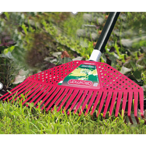 Scopa dei Ricordi - Articolo 173 - Product Image 2