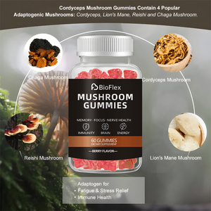 BioFlex Vente en gros Formule personnalisée Adaptogène Nootropique Complément alimentaire Saveur de baies Cordyceps Chaga Reishi et Lion's Mane Champignon Gommeux - Product Image 2