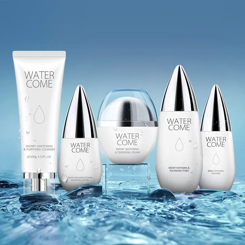 Professional Beauty Skin Care Products Anti Aging Whitening Organic Private Label Korean Korean Skin Care Set Gift Set for Face