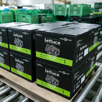 Boîte à laitue en plastique ondulé PP pour produits frais, conteneur d'emballage creux empilable, caisse d'expédition légère, vente en gros