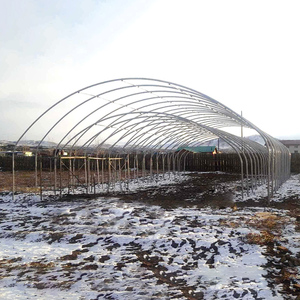 Serre solaire <span class=keywords><strong>passive</strong></span> Serres à tunnel Serre agricole à double arc avec couette pour hydroponique en zone froide - Product Image 3
