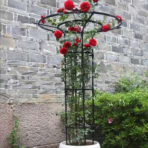Enrejado de jardín de metal de Venta caliente para plantas trepadoras-Rose, <span class=keywords><strong>Plumbago</strong></span> Support - Product Image 4