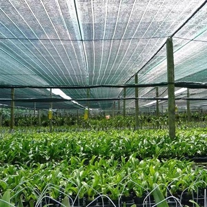 40% 55% 80% 90% và 95% bóng tỷ lệ phẳng dệt HDPE riêng tư <span class=keywords><strong>Shading</strong></span> <span class=keywords><strong>NET</strong></span> và gió màn hình - Product Image 5