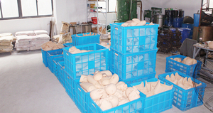 BIX-LV5-2 phòng khám bệnh viện Đại Học Cấu Trúc rõ ràng vật liệu mô-đun thực hành cắt bỏ <span class=keywords><strong>lipoma</strong></span> chống mài mòn - Product Image 4