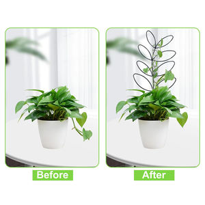 Treillis métallique <span class=keywords><strong>d</strong></span>'<span class=keywords><strong>intérieur</strong></span> de petite taille, <span class=keywords><strong>support</strong></span> de treillis <span class=keywords><strong>pour</strong></span> <span class=keywords><strong>plantes</strong></span> <span class=keywords><strong>d</strong></span>'<span class=keywords><strong>intérieur</strong></span>, <span class=keywords><strong>pour</strong></span> <span class=keywords><strong>plantes</strong></span> <span class=keywords><strong>grimpantes</strong></span> en pot - Product Image 2