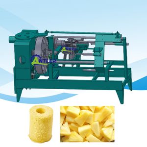 مشروع تسليم المفتاح لخط إنتاج الأناناس الأوتوماتيكي في شراب مصنع تعليب شرائح الأناناس - Product Image 6