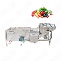 Machine à laver entièrement automatique Câpres Feuilles de basilic Feuille de manioc Nettoyage à bulles