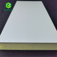 Композитная панель из пенопласта XPS для ванной комнаты ACP/SPC/PVC/FRP/алюминиевая Изолированная стеновая панель OEM ODM