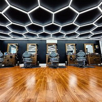 Éclairage de Plafond LED Hexagonal 2435mm*4845mm pour Atelier de Detailing Automobile et Garage, Lumières Nid d'Abeille LED Hexagonales