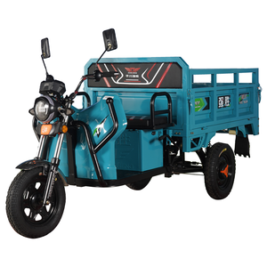 electric cargo tricycle suppliers  electric auto rickshaw motor