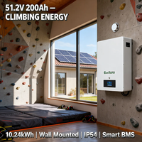 Baterai Lithium Ion 10kWh 48V 51.2V 200Ah untuk Sistem Surya Terpasang di Dinding