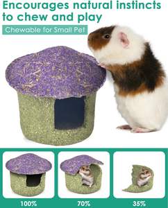 Tazón para masticar hámster y escondite Timothy Hay golosinas comestibles para hámster pequeño Ratones Rata Mascotas pequeñas Seta de hámster - Product Image 3