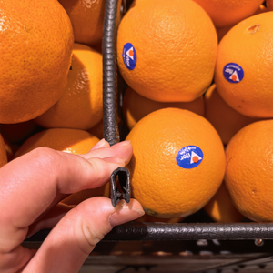 Panier de fruits de supermarché pare-chocs salle blanche et utilisation en laboratoire faible odeur finition lisse non marquante bande d'étanchéité en forme de U - Product Image 1