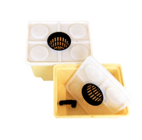 Système de culture d'intérieur micro-vert, seau néerlandais, aaéronie durable, jaune, pour la maison ou la serre, facile à utiliser