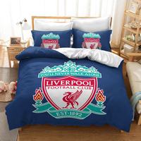 Ensemble de literie en coton 100% sur le thème du football 3D, personnalisable OEM ODM, vente en gros, housse de couette et taies d'oreiller imprimées pour garçons, sport, personnalisable