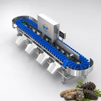 Alles-in-één fruit- en groentesorteermachine, perfect geschikt voor kleine en middelgrote voedselverwerkingsbedrijven