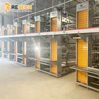Équipement d'élevage avicole automatique pour 30 000 poules en cage, système d'élevage de poules pondeuses avec contrôle environnemental, Indonésie