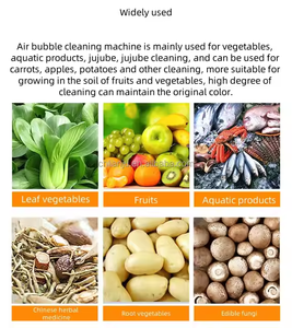 Laveuse de légumes industrielle compacte et portable pour choux et autres légumes, à bulles continuées - Product Image 5