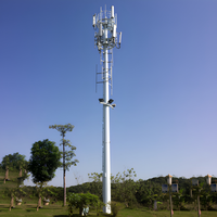 Tour de télécommunication monopode YingHao certifiée ISO de 30 m avec échelle interne et garde-corps de sécurité pour un accès de maintenance sécurisé, durée de vie de 30 à 50 ans