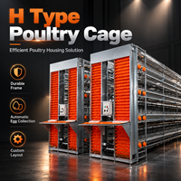 Cage à poules à batterie de type H à 8 niveaux superposés pour ferme avicole, capacité 22000 poules, solution agricole personnalisée, structure robuste en acier
