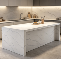 Dalle de quartz compacte à surface pierreuse élégante pour projets de rénovation commerciale
