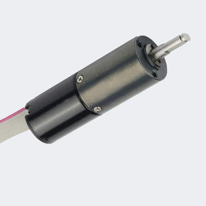 PrimoPal 하이 퀄리티 16mm 500rpm 1625 낮은 RPM 전기 인러너 마이크로 BLDC 모터 (기어 박스 포함) - Product Image 3