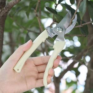 <span class=keywords><strong>Ciseaux</strong></span> de jardin Lames en acier Poignée en plastique <span class=keywords><strong>Bonsai</strong></span> Sécateur <span class=keywords><strong>pour</strong></span> arbres fruitiers Sécateur Outil de greffage Sécateur <span class=keywords><strong>Ciseaux</strong></span> - Product Image 6