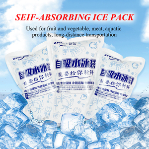 Các Nhà Sản Xuất Tùy Chỉnh Dùng Một Lần Túi Nước Đá Lạnh Tự Hấp Thụ Nước Đá Lạnh Gói - Product Image 3
