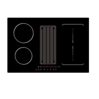 Cuisinière à induction intégrée OEM petits appareils de cuisine avec hotte