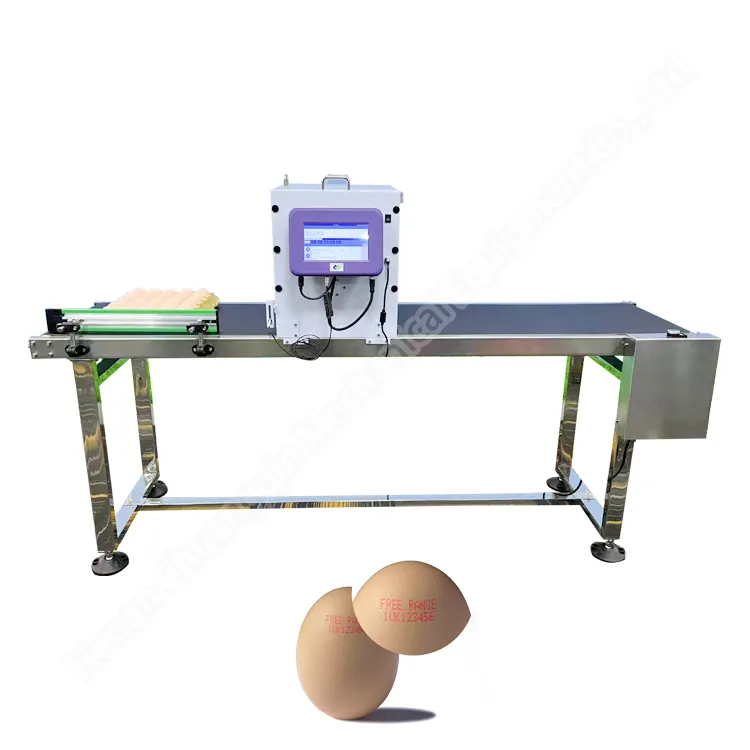 Laser đánh dấu máy cho trứng trứng máy in trong dòng khuyến mãi trứng máy in phun danh sách khuyến mãi