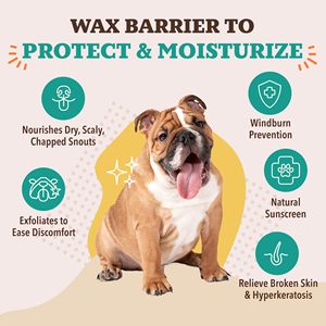 Xichi Dog Company Luxury Dog Nose Balm Stick Organic <strong>Snout</strong> <strong>Soother</strong> for Dry Crusty Noses Trial Size - Product Image 4