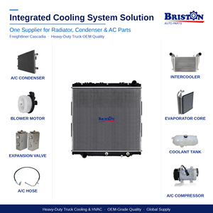 Depósito de Refrigerante Presurizado de Alta Resistencia Compatible con Freightliner Centry, Columbia, <span class=keywords><strong>Coronado</strong></span> con OE 05230-45000 - Product Image 6