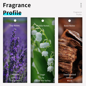 VILILY 40ml Mini Parfums Originaux en Gros, Brume de Voyage Fougère, Parfum Corporel Charmant pour Hommes, Mini Parfums Originaux - Product Image 3