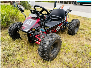 Kart Todoterreno Eléctrico para Adultos de 1000w-3000w, Buggy de Playa de Cuatro Ruedas, Envío al Aire Libre en Cajas de Madera - Product Image 5