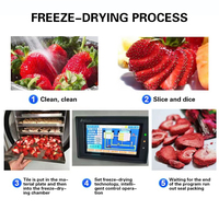 Lyophilisateur industriel sous vide continu lyophilisateur nourriture fruits lyophilisation machine machine lyophilisation