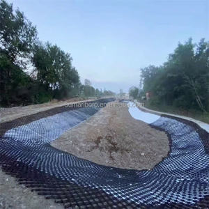 Geocell en plastique Geocell PE-HD bon marché pour l'allée et le <span class=keywords><strong>stabilisateur</strong></span> de <span class=keywords><strong>gravier</strong></span> de contrôle d'érosion - Product Image 4