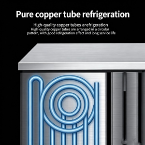 Máquina de Hielo Comercial de Una Sola Temperatura con Enfriamiento por Aire, 2 Puertas, Acero Inoxidable, Control Digital, Descongelación Automática para Alimentos - Product Image 5