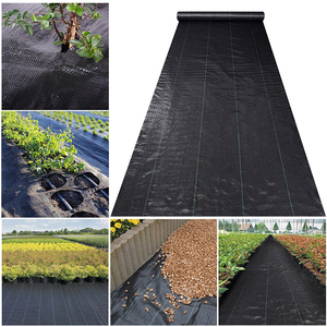 Toile de paillage agricole <span class=keywords><strong>en</strong></span> PP pour le contrôle des adventices et la protection des <span class=keywords><strong>semis</strong></span> - Product Image 5
