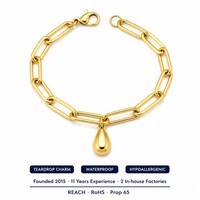Bracelet en acier inoxydable avec breloque goutte d'eau vintage, prêt à expédier, vente en gros, fournisseur de dropshipping