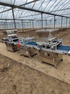 Totalmente automático vegetal flor semente bandeja semeadora para culturas como alface berinjela e petúnia com distribuição uniforme de sementes - Product Image 4