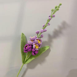Violet (point afghan)