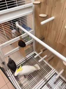 Su misura fatto a mano in legno intagliato casa di uccelli di lusso fantasia <span class=keywords><strong>pappagallo</strong></span> Villa Villa per Cockatiel Lovebird uso interno esterno - Product Image 4