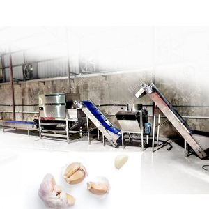 Ligne de production de pelage d'ail à l'azote avec moteur et moteur électrique, haute efficacité, capacité de 2000 kg/h pour l'exportation - Product Image 3