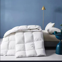 Nouvelle couette d'hôtel de couette, couette matelassée en microfibre couette de remplissage taille personnalisée couette insérer doux hôtel Collection couette